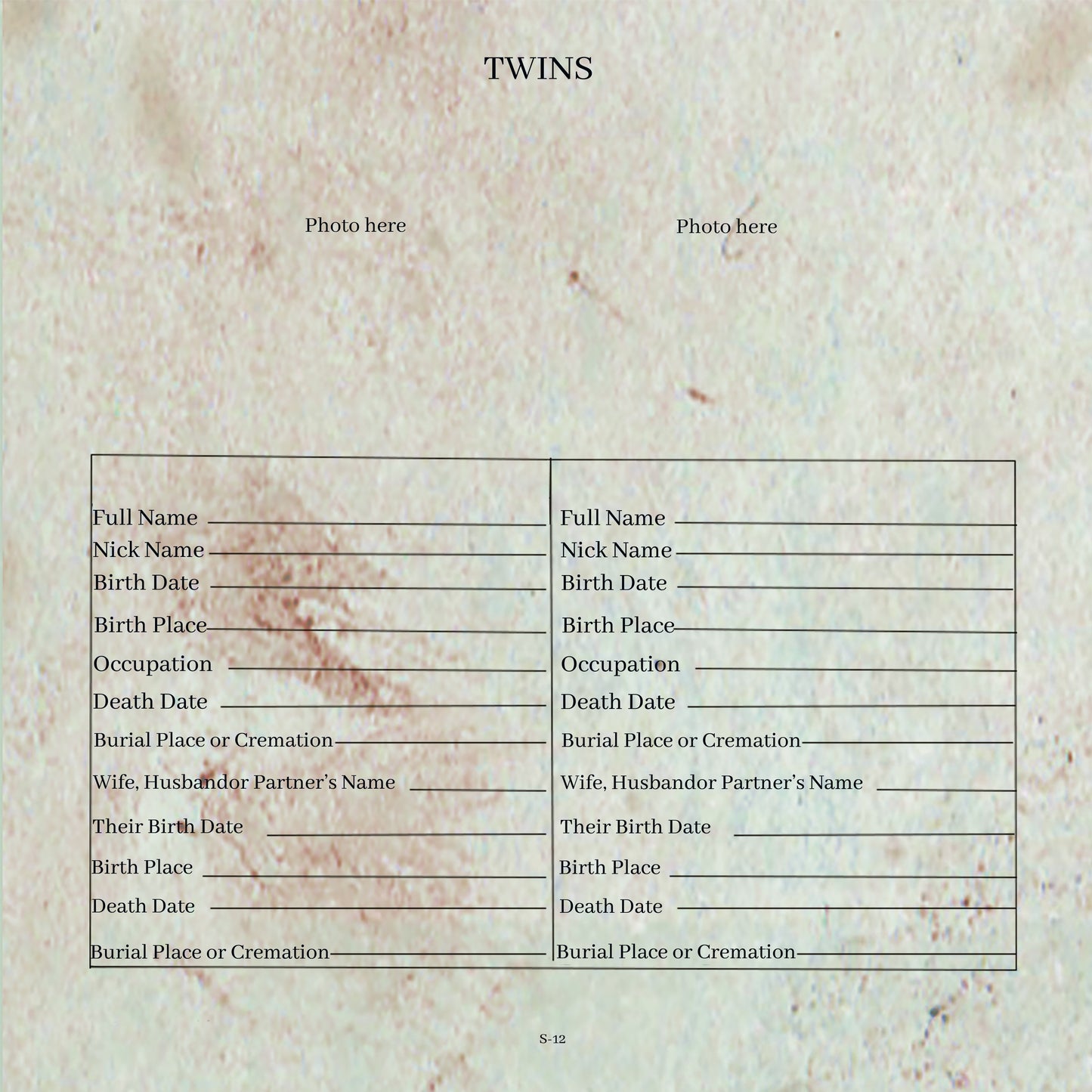 Alt Pages for Family Scrapbook II